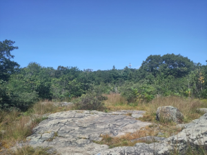 A small hill in the Middlesex Fells Reservoir